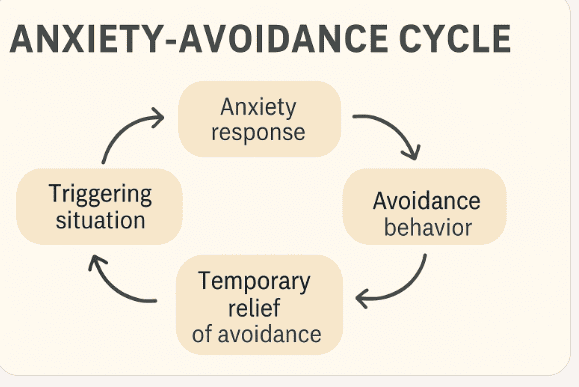 Diagram illustrating the Anxiety-Avoidance Cycle